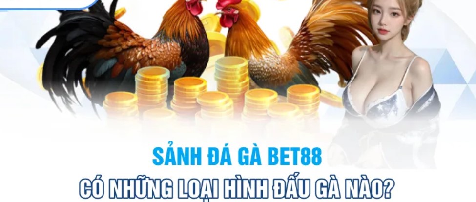 Các hình thức đá gà Bet88 trực tuyến siêu hot hiện nay